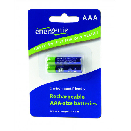 2 Piles Rechargeables AAA LR3 - Haute Performance & Longévité